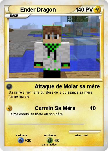 Pokemon Ender Dragon