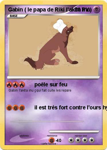 Pokemon Gabin ( le papa de Riki l'akita inu)