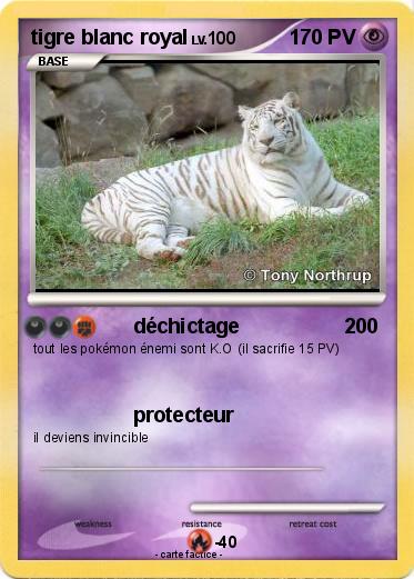 Pokemon tigre blanc royal