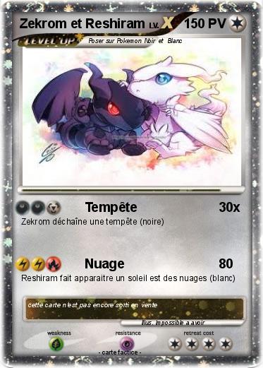 Pokemon Zekrom et Reshiram