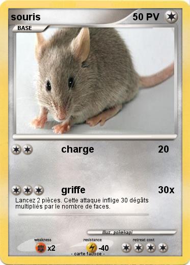 Pokemon souris
