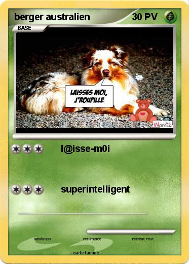 Pokemon berger australien