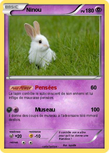 Pokemon Ninou
