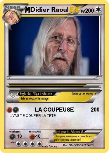 Pokemon Didier Raoul