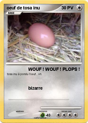 Pokemon oeuf de tosa inu