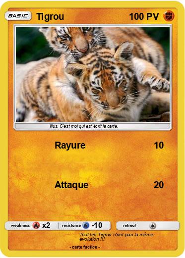 Pokemon Tigrou