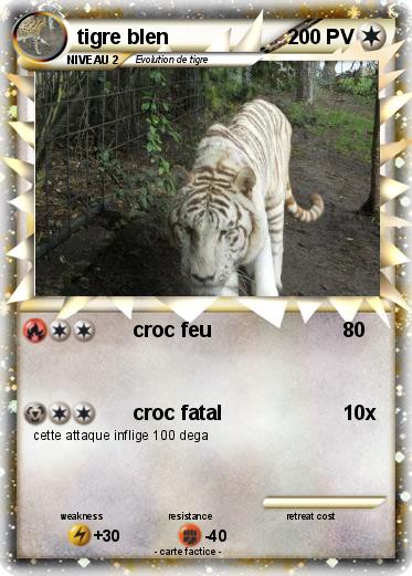Pokemon tigre blen