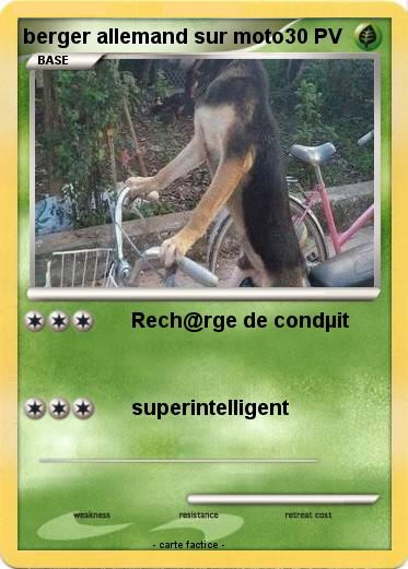 Pokemon berger allemand sur moto