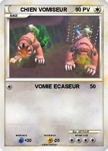 Pokemon CHIEN VOMISEUR