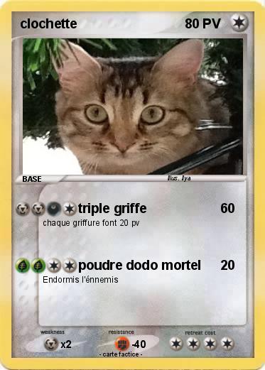 Pokemon clochette