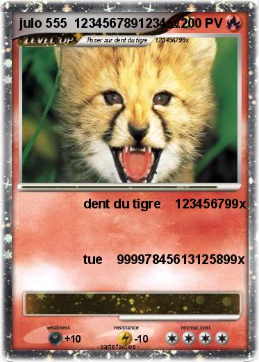 Pokemon julo 555  1234567891234