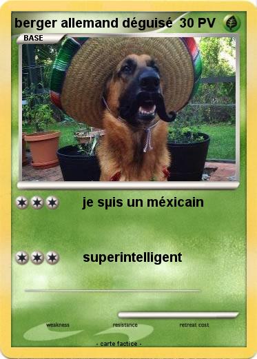 Pokemon berger allemand déguisé