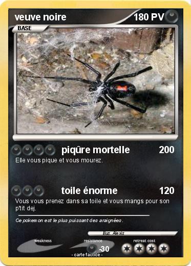 Pokemon veuve noire