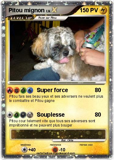 Pokemon Pitou mignon