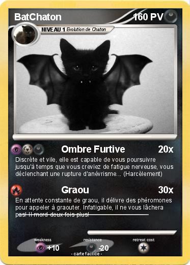 Pokemon BatChaton