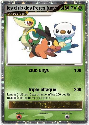 Pokemon les club des freres (unys)