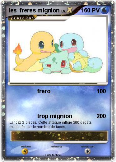 Pokemon les  freres mignion
