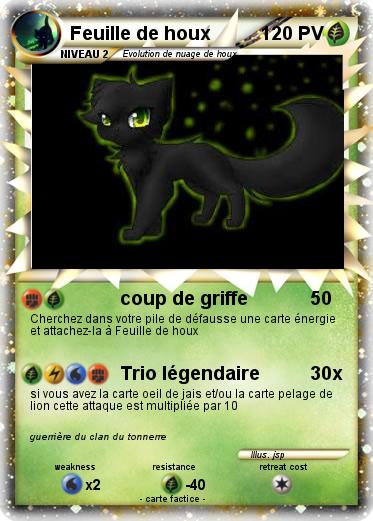 Pokemon Feuille de houx
