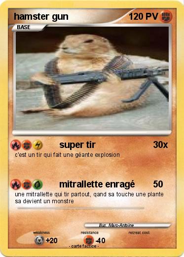 Pokemon hamster gun