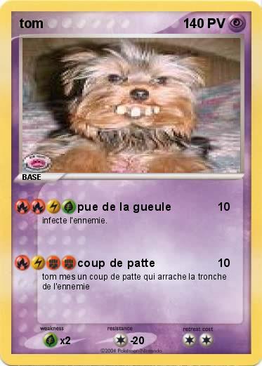 Pokemon tom