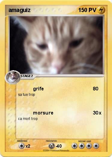 Pokemon amaguiz