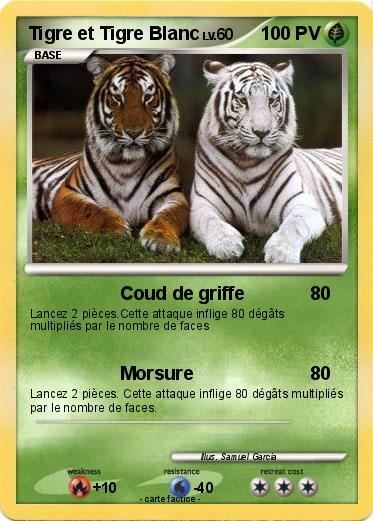 Pokemon Tigre et Tigre Blanc