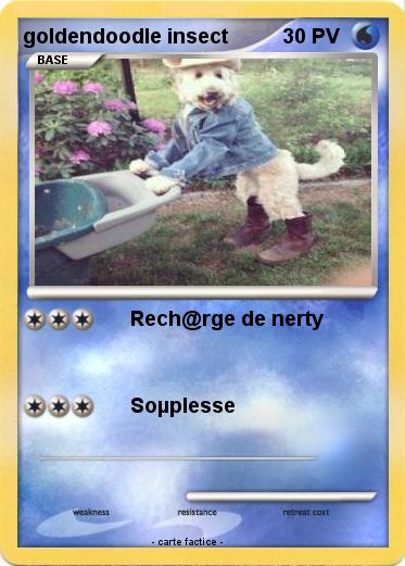 Pokemon goldendoodle insect