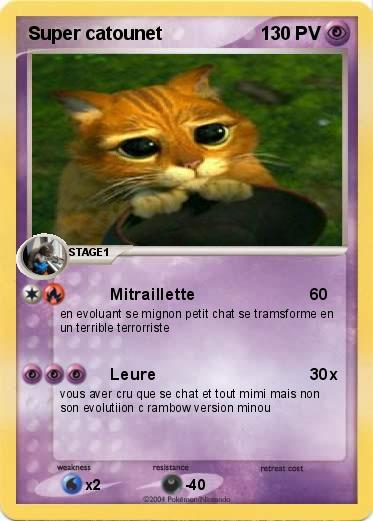 Pokemon Super catounet
