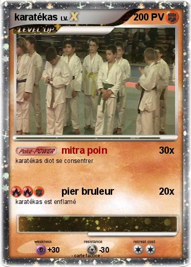 Pokemon karatékas