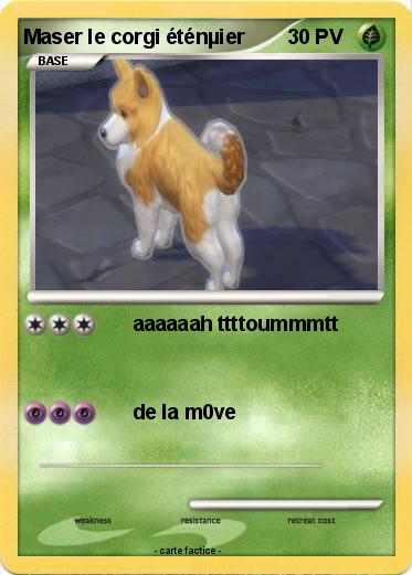 Pokemon Maser le corgi éténµier
