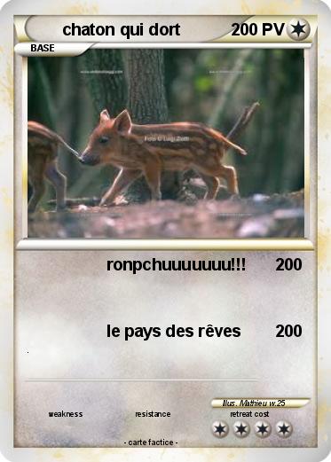 Pokemon chaton qui dort