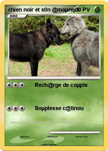 Pokemon chien noir et s0n @moµreµx