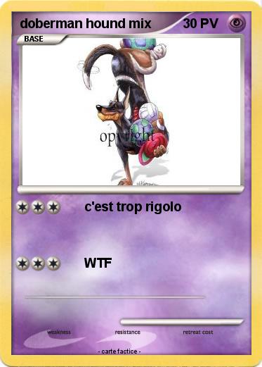 Pokemon doberman hound mix