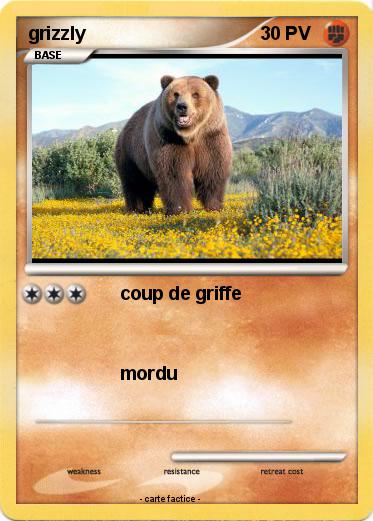 Pokemon grizzly