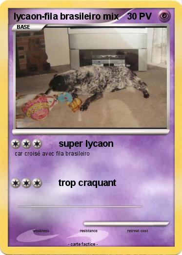 Pokemon lycaon-fila brasileiro mix