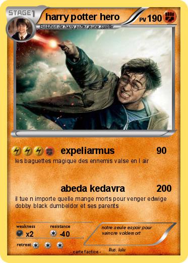 Pokemon harry potter hero