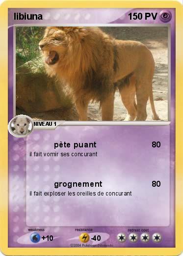 Pokemon libiuna