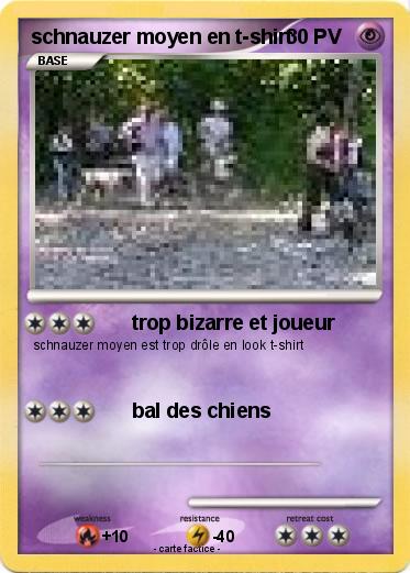 Pokemon schnauzer moyen en t-shirt