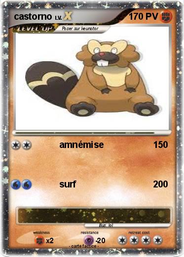 Pokemon castorno
