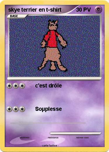 Pokemon skye terrier en t-shirt