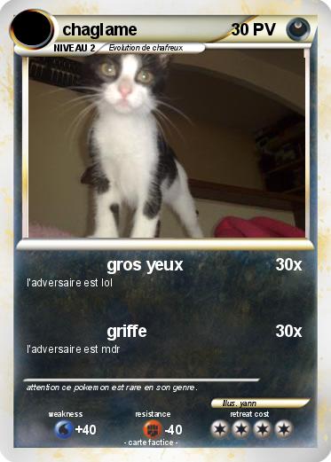 Pokemon chaglame