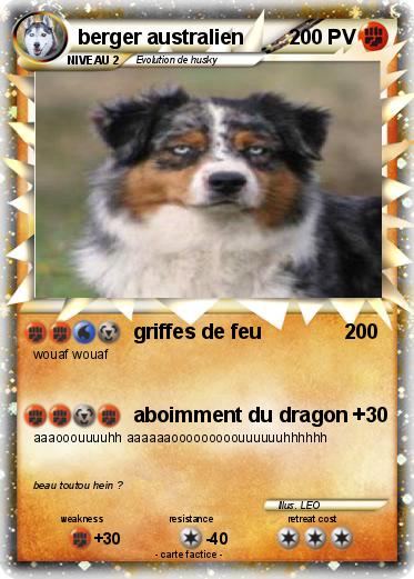 Pokemon berger australien