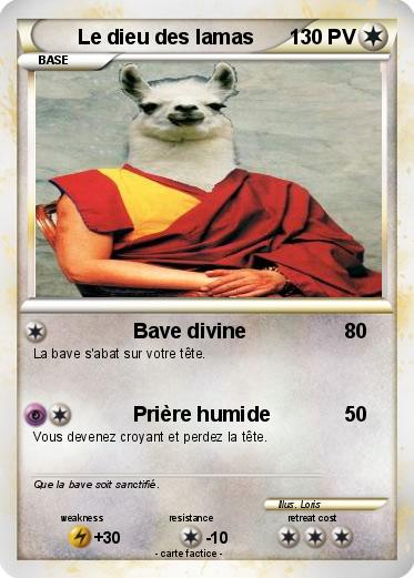 Pokemon Le dieu des lamas