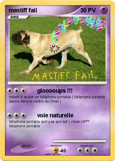 Pokemon mastiff fail
