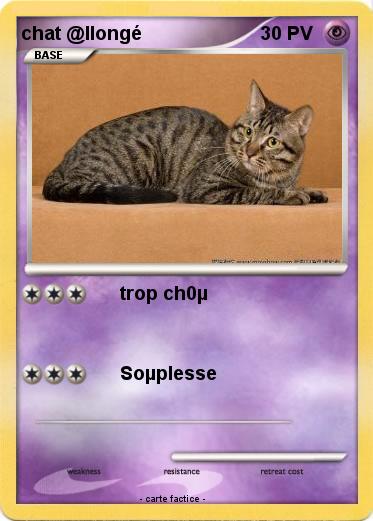 Pokemon chat @llongé