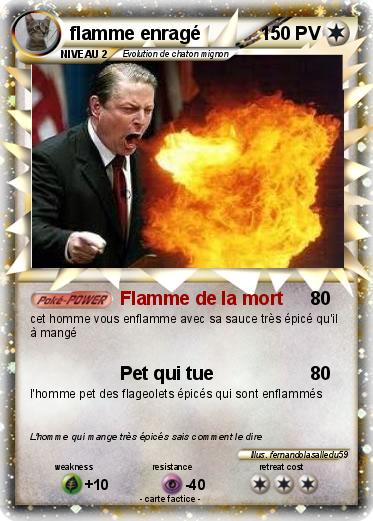 Pokemon flamme enragé