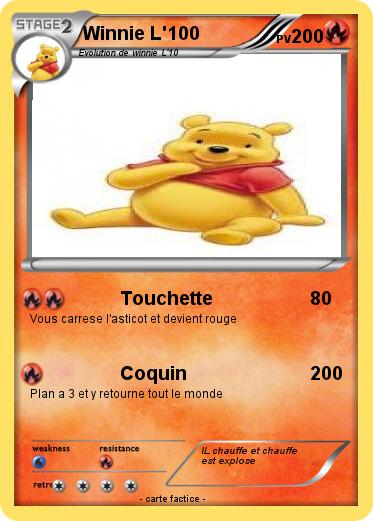 Pokemon Winnie L'100