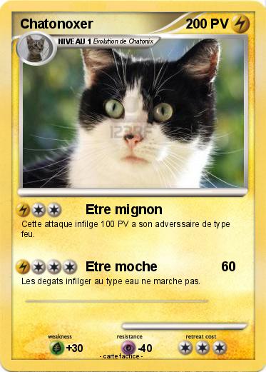 Pokemon Chatonoxer