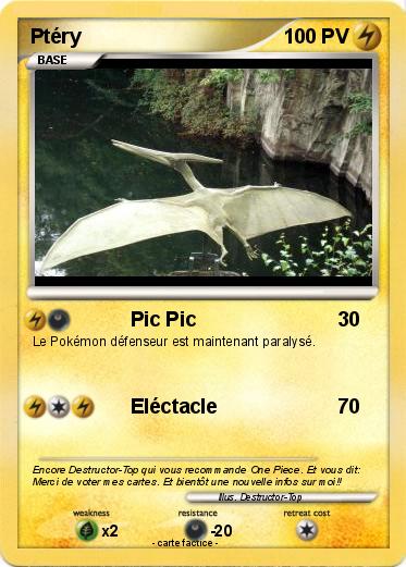 Pokemon Ptéry