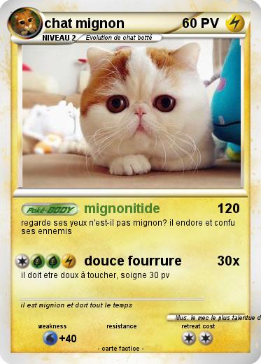 Pokemon chat mignon